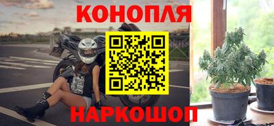 ALPHA PVP Малгобек