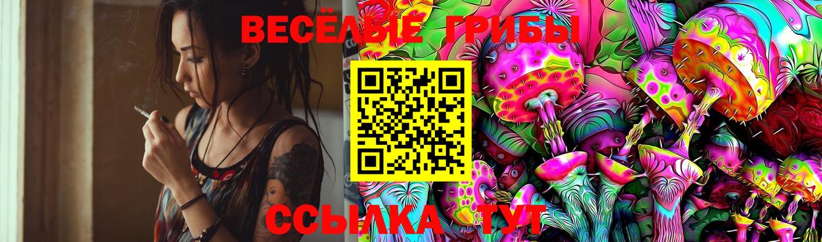 Галлюциногенные грибы Psilocybine cubensis Тобольск