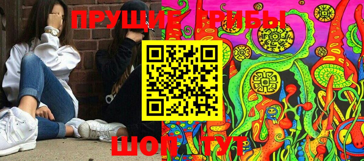 Галлюциногенные грибы Psilocybe  Вход с VPN  Тобольск 